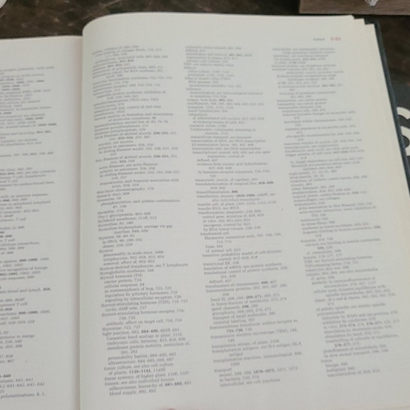 CELLS & MOLECULAR BUOLOGY OF THE CELL - Picture 13 of 15